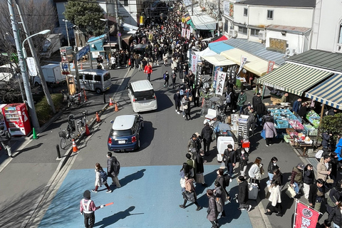 Tsukiji Fish Market+Lunch +Asakusa Tea +Akiba Maid Cafe tour