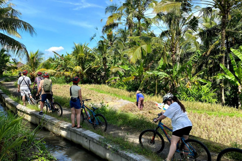 Bali: pola ryżowe, wioska ptaków, wycieczka rowerowa do gorących źródełBali: pola ryżowe, wioska ptaków, gorące źródła – wycieczka rowerowa