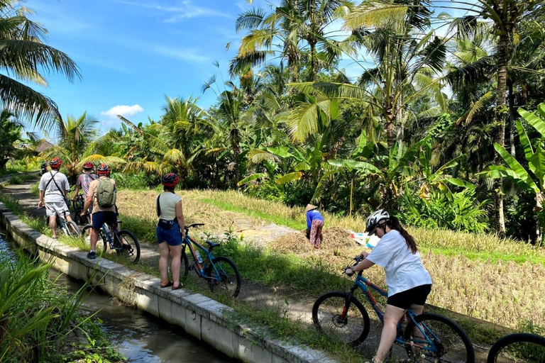 Bali: pola ryżowe, wioska ptaków, wycieczka rowerowa do gorących źródełBali: pola ryżowe, wioska ptaków, gorące źródła – wycieczka rowerowa