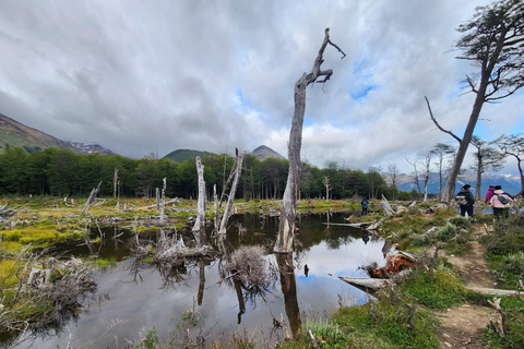 From Ushuaia: Tierra del Fuego Emerald Lagoon Trekking Tour