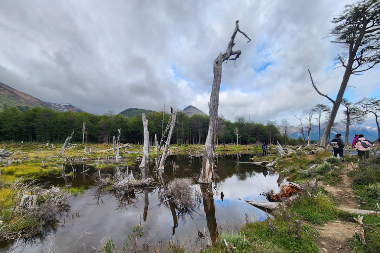 From Ushuaia: Tierra del Fuego Emerald Lagoon Trekking Tour