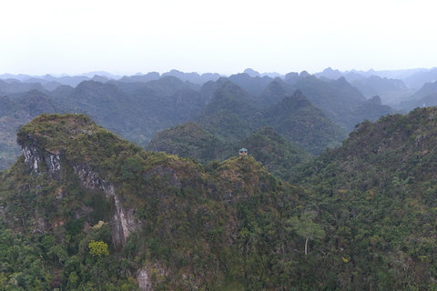 Half Day Hiking to Cat Ba National Park with a Guide