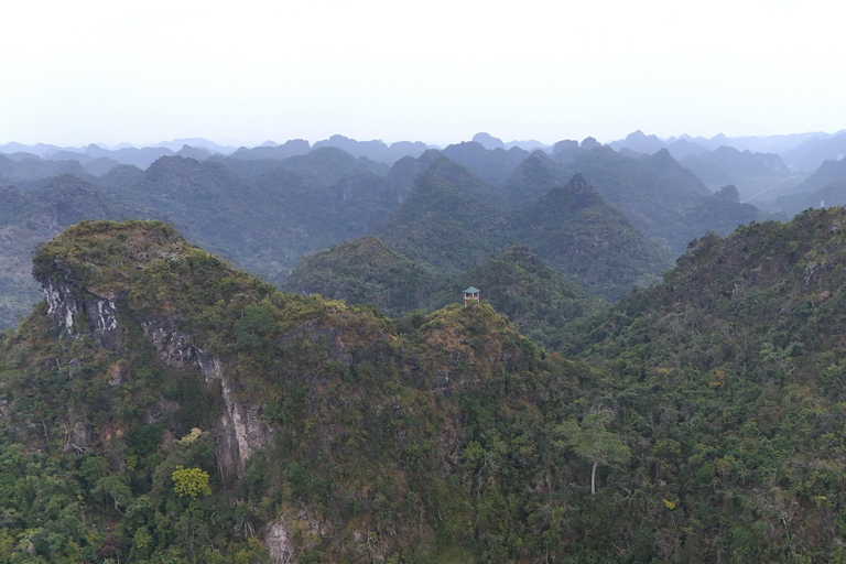 Half Day Hiking to Cat Ba National Park with a Guide