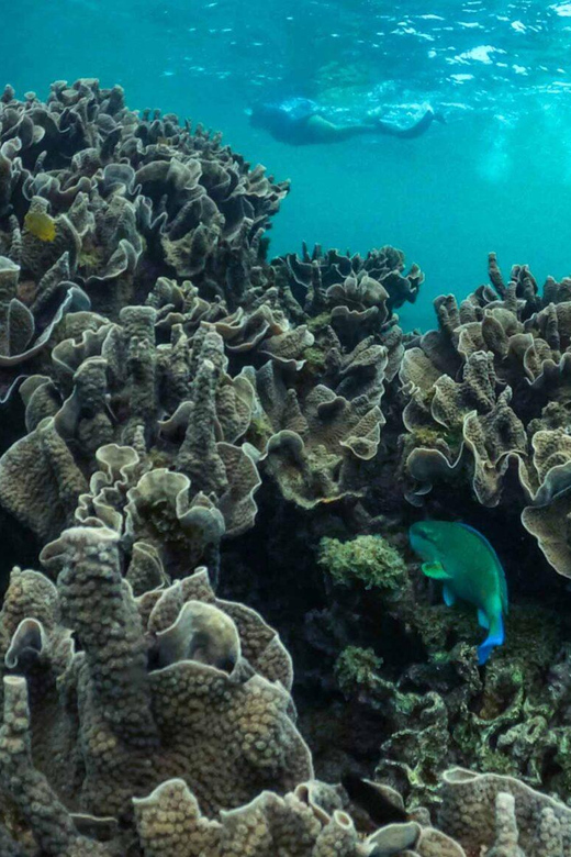 Galería de fotos para redes