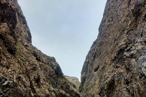 Ulaanbaatar: 7-Day Gobi Desert & Terelj Park Tour