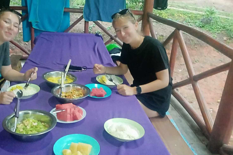 Chiang Mai: 2-dagars djungelvandring med elefantfarm och forsränning