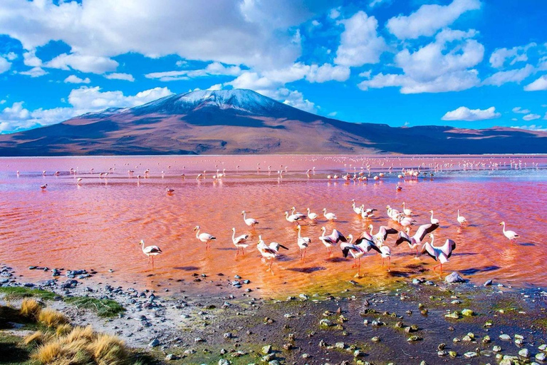 Ab San Pedro de Atacama: 3-tägige Tour durch die Salzwiesen von Uyuni