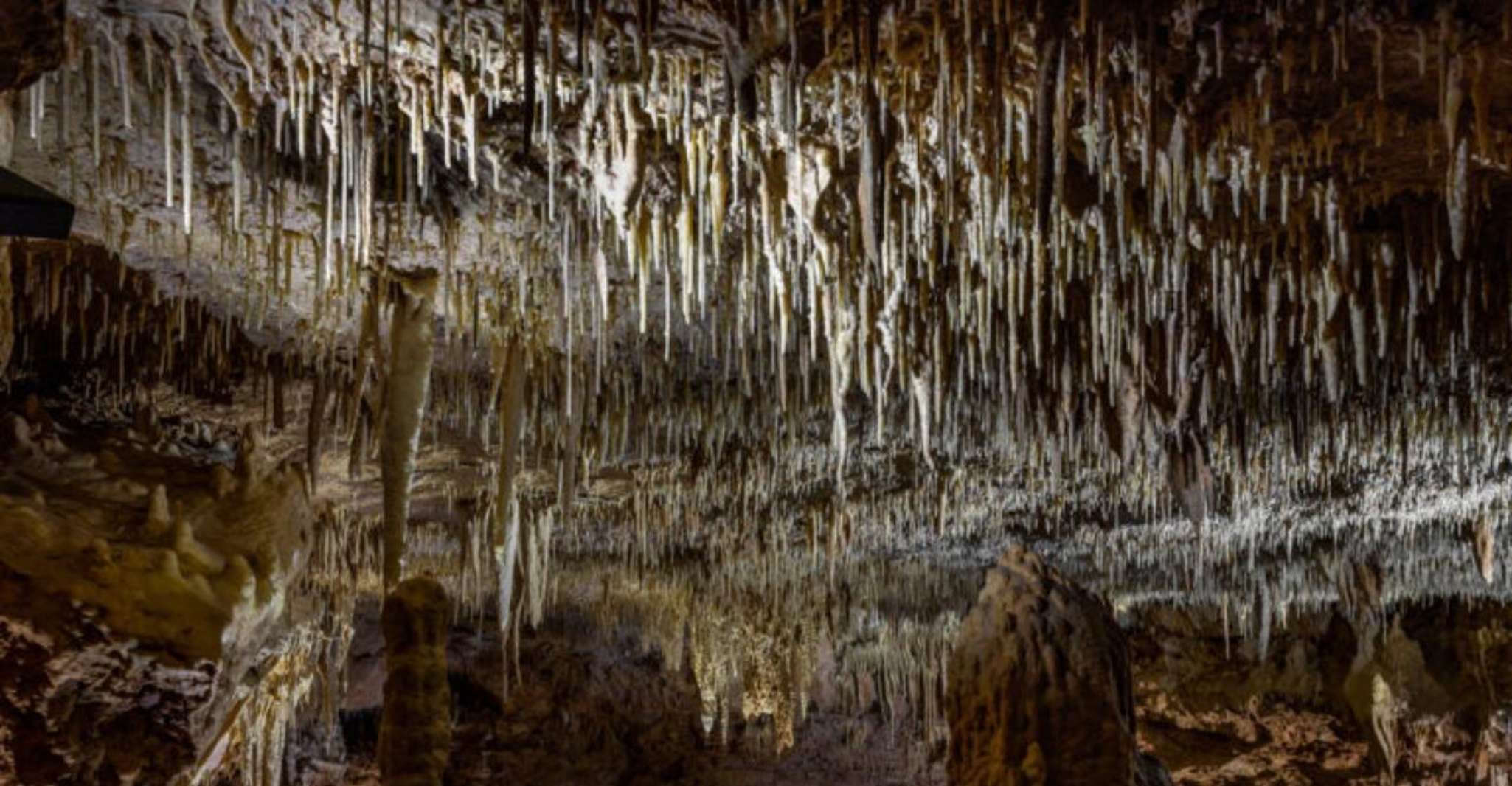 San Antonio: Natural Bridge Caverns Hidden Wonders Tour photo 6