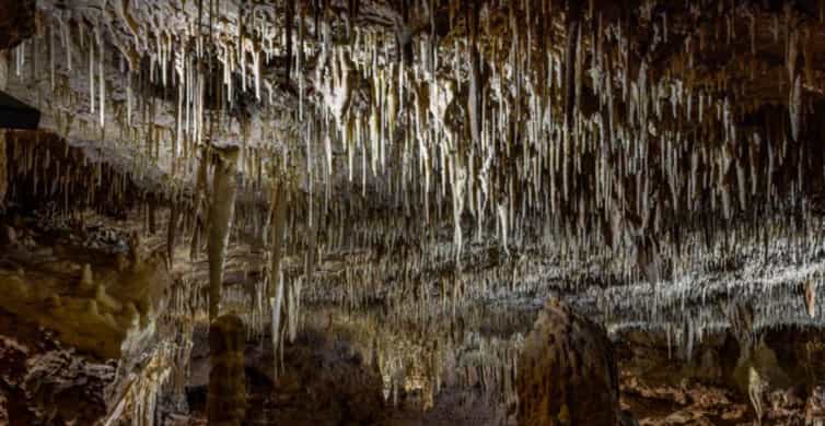 San Antonio: Natural Bridge Caverns Hidden Wonders Tour photo 6
