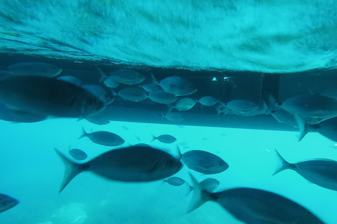 Swim in a Paradise Cove & Enjoy an Amazing Underwater View From Santa Margarita