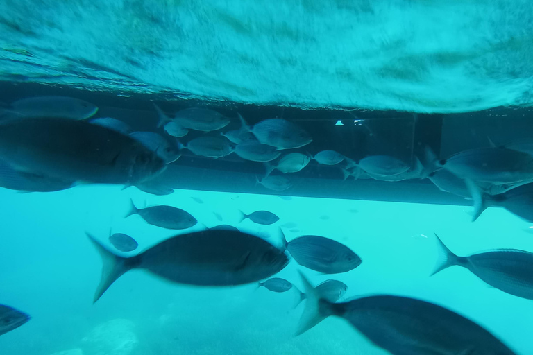 Swim in a Paradise Cove & Enjoy an Amazing Underwater View From Santa Margarita