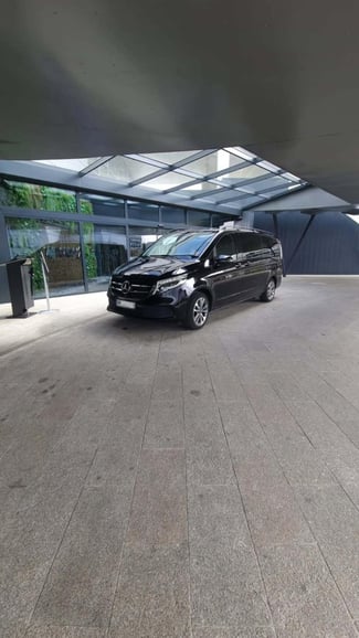 Disneyland Paris: Private Transfer from or to ORY Airport