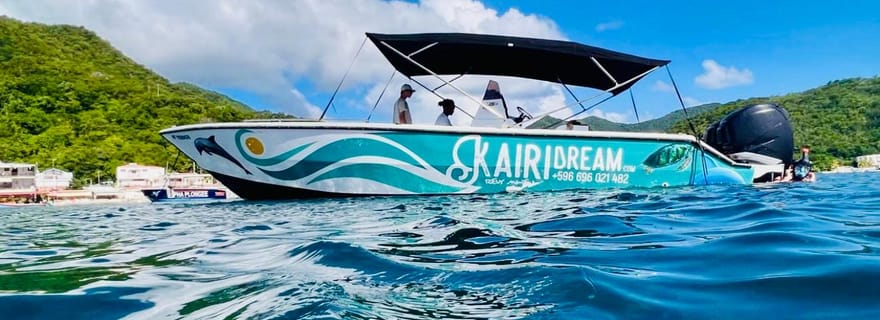 Martinique: journée complète speed boat: Dauphins et tortues