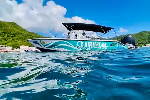 Martinique: journée complète en bateau : Dauphins et tortues