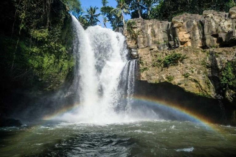 Bali: All-Inclusive Ubud Private Tour with Lunch All-Inclusive Ubud Private Tour with Lunch