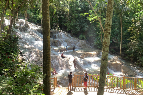 Montego Bay: Dunn's River Falls Private Excursion