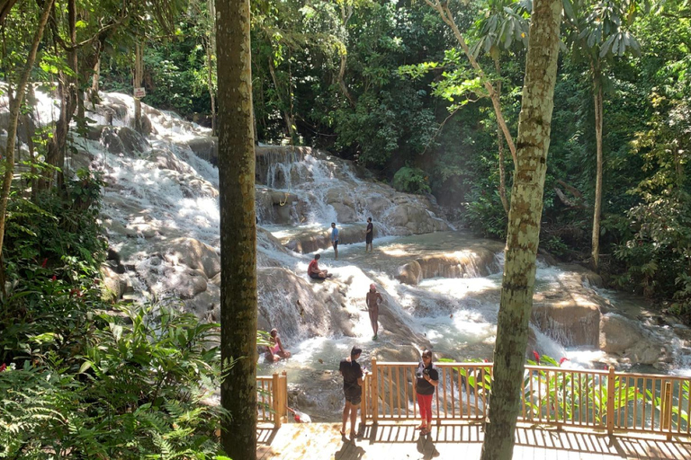 Montego Bay: Dunn's River Falls Private Excursion