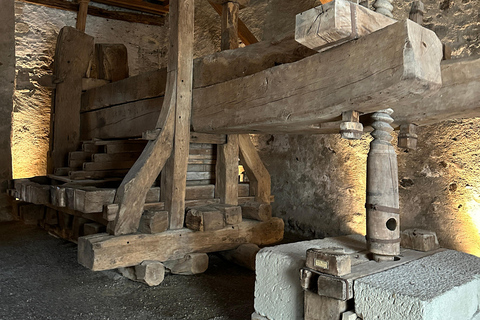 From Zurich: Private Tour to Rheinfalls and Stein am Rhein