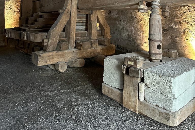 From Zurich: Private Tour to Rheinfalls and Stein am Rhein