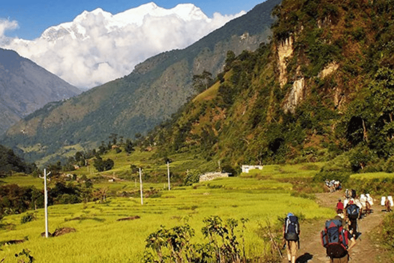 加德满都：西莱丘利/切邦山导游徒步之旅（含接送服务）加德满都：西莱丘利/切庞山导览徒步之旅（含接送服务）