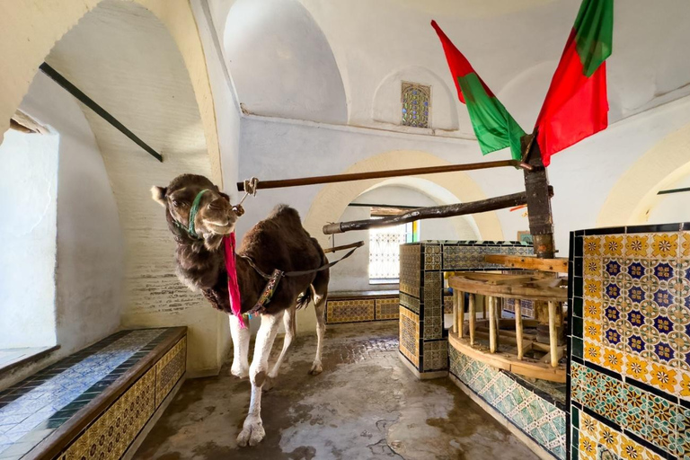 From Sahel: 3-Day Private Wonders of Tunisia with Pickup From Sousse Or Monastir