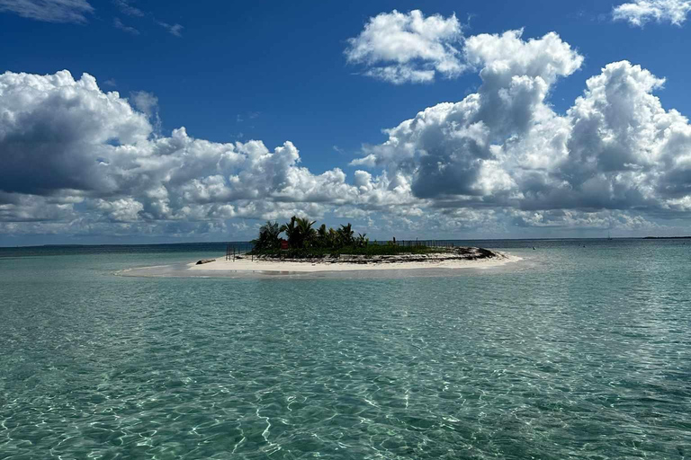 Grand Cul-de-Sac Marin Lagoon: 4-Hour Tour (Islet – Mangrove – Coral) Grand Cul-de-Sac-Marin Lagoon: 4-Hour Tour (Ilet – Mangrove – Coral)