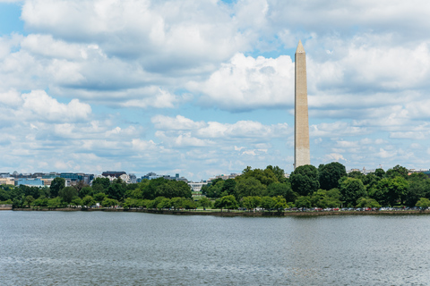 Vanuit New York City: dagtrip Washington DC per Bus