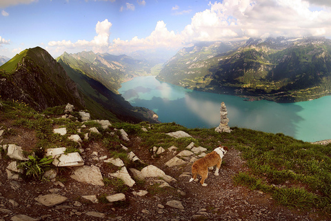 Jednodniowa wycieczka na Augstmatthorn z transferem z Interlaken