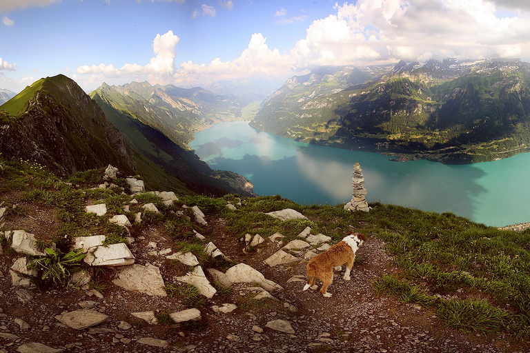 Jednodniowa wycieczka na Augstmatthorn z transferem z Interlaken