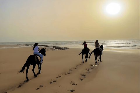 Doha: Desert Horse Riding with Beach Games & Sunset