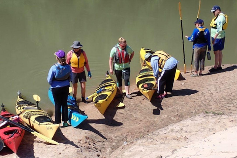 Full-Day Buffalo Bayou Kayaking Tour