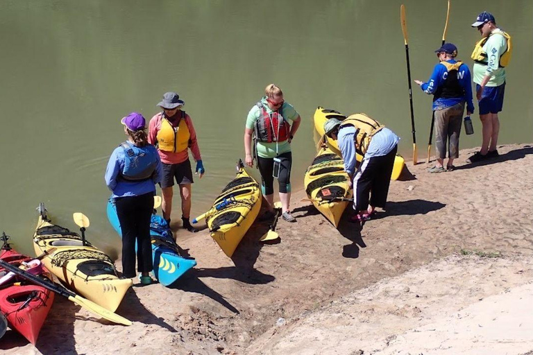 Full-Day Buffalo Bayou Kayaking Tour
