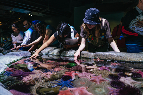 Los Angeles: Företrädesbiljett till Aquarium of the Pacific