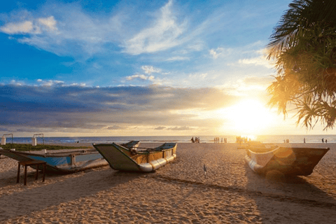 Sigiriya to Pasikudah 2-Day Beach Escape | Kandy/Ella Drop