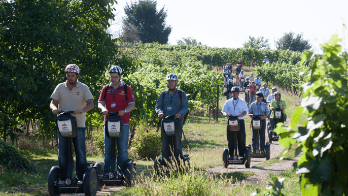 neckar valley 2.5hour segway tour on the mark twain trail