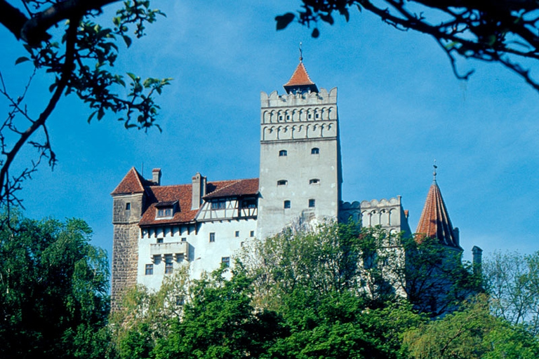 Transylvania Medieval Castles 4-Day Tour Standard Option