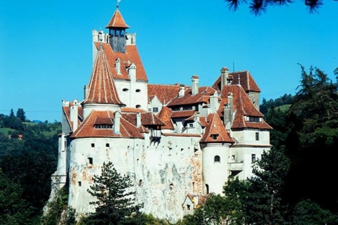 Bucharest: 12-Hour Tour of Peles, Dracula's Castle, Brasov Brasov and Dracula's Castle Tour