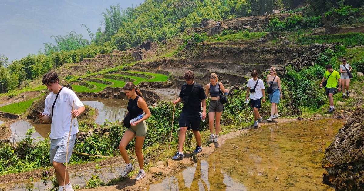 Sapa: 2-Day Walking Tour and 1-Night Homestay with Local Guide