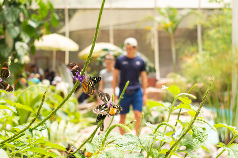 Quito-Mindo: Excursión a las 7 Cascadas, Jardín de Mariposas, Excursión en Quad