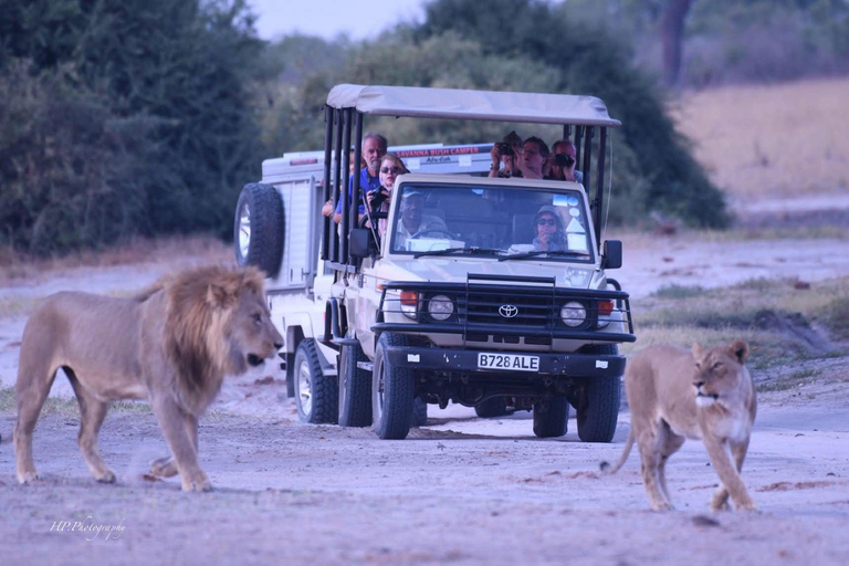 Chobe National Park & Victoria Falls Day Trip