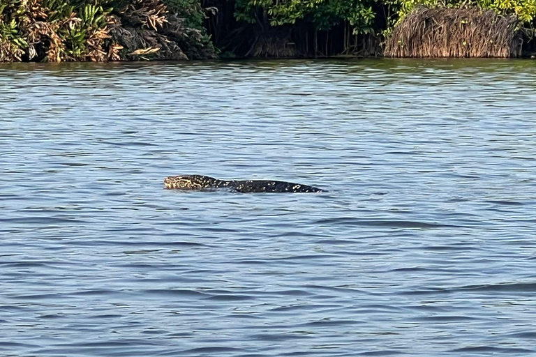 Mirissa: Kayak Safari Adventure Through Mangrove Double Kayak (2 Persons)