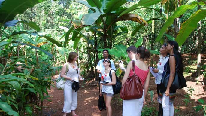 goa off shore churches and spice farm tour