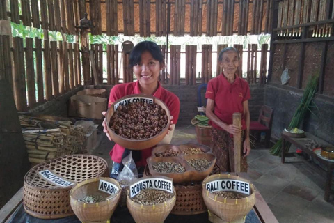 Mount Batur Trekking Sunrise-Hot Spring-Coffee Plantations Mount Batur Trekking Only