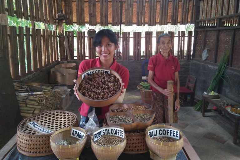 Mount Batur Trekking Sunrise-Hot Spring-Coffee Plantations Mount Batur Trekking Only