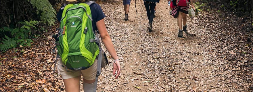 Sentier de la vallée de Mimosa : explorez Maroços