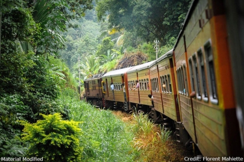 Sri Lanka: Route, vervoer & hotelsPlanningsdiensten voor Sri Lanka: Route, vervoer & hotels