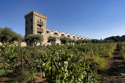 Patras: City Tour with Optional Visits and Wine Tasting