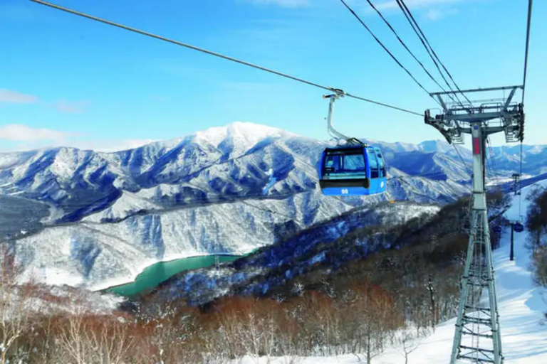 From Tokyo: Naeba Ski Resort Day Trip with Lift Pass Ski or Snowboard Gear Rental Option