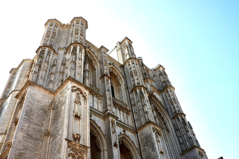 Leuven: Express Walk with a Local in 60 minutes 60 min - Private Tour