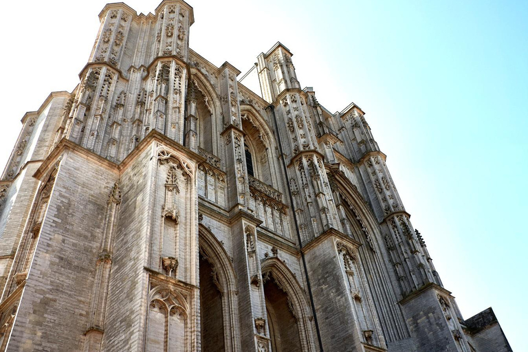 Leuven: Express Walk with a Local in 60 minutes 60 min - Private Tour
